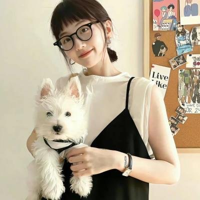 好人、巴特与洛基